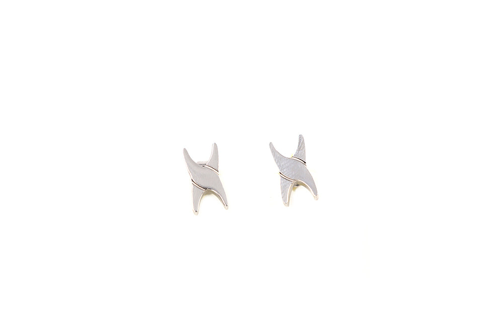 Ohrschmuck 2 Varianten