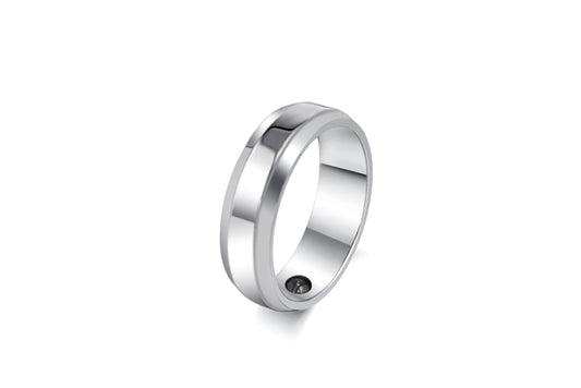 Magnet - Ring Edelstahl D-0312