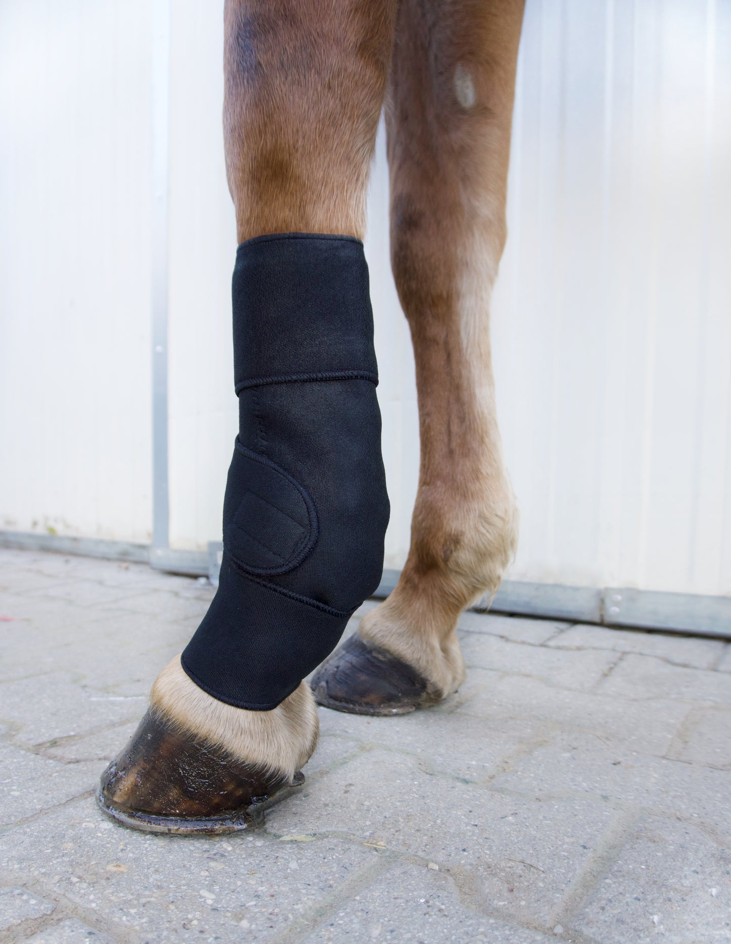 Fesselgelenks-Bandage für Pferde – bei Schmerzen & durchblutungsfördernd