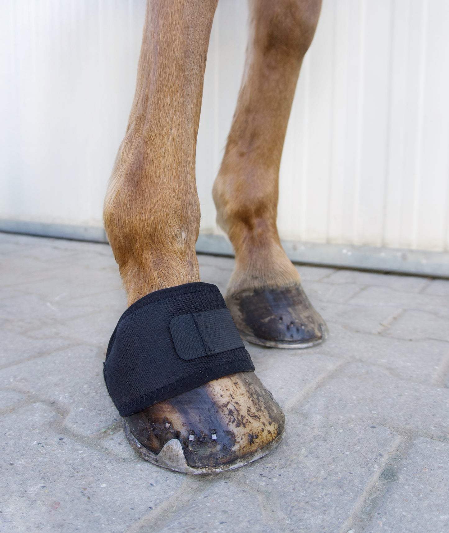 Huf-Bandage für Pferde – bei Schmerzen & durchblutungsfördernd