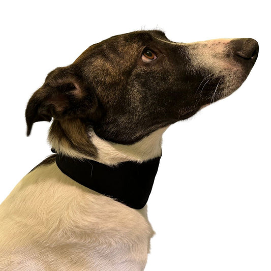 Hals-Bandage für Hund und Katze - bei Schmerzen (inkl. Verlängerung)