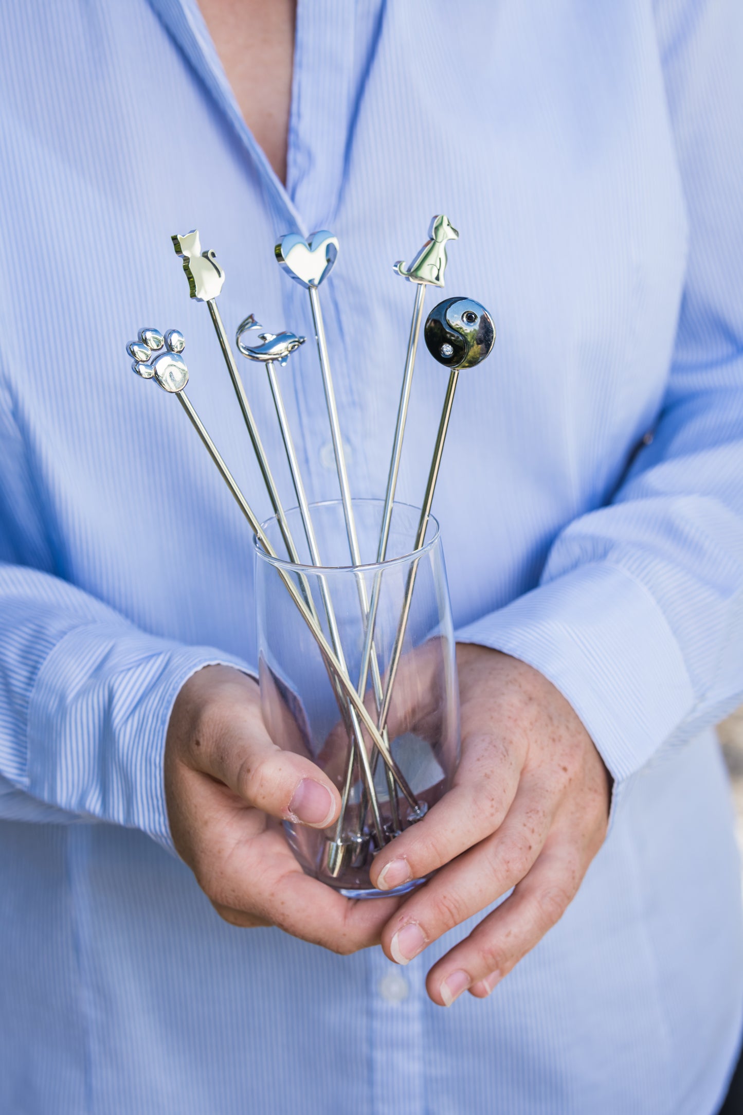 Delfin - Magnet - Wasserstab 2 Varianten