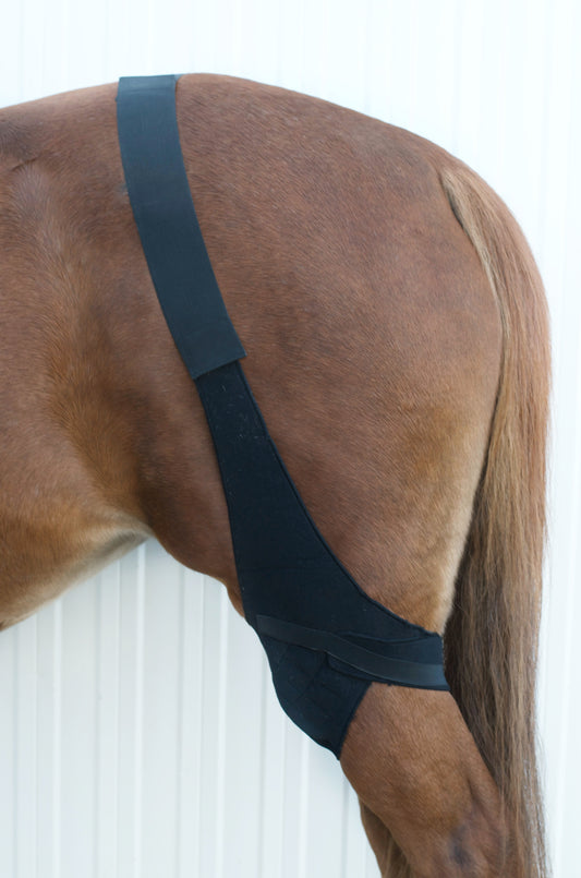 Knie-Bandage für Pferde – bei Schmerzen & durchblutungsfördernd