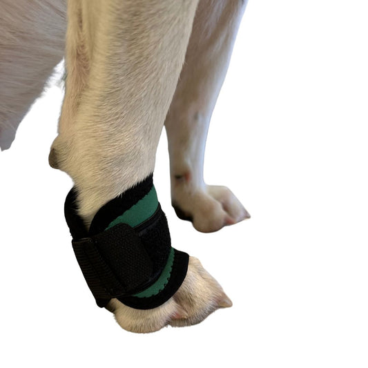 Bandage für Karpal-, Tassal-, Finger- und Zehengelenke für kleine Hunde – gezielte Unterstützung bei Schmerzen und zur Förderung der Durchblutung