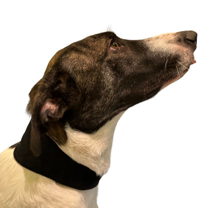 Hals-Bandage für Hund und Katze - bei Schmerzen (inkl. Verlängerung)