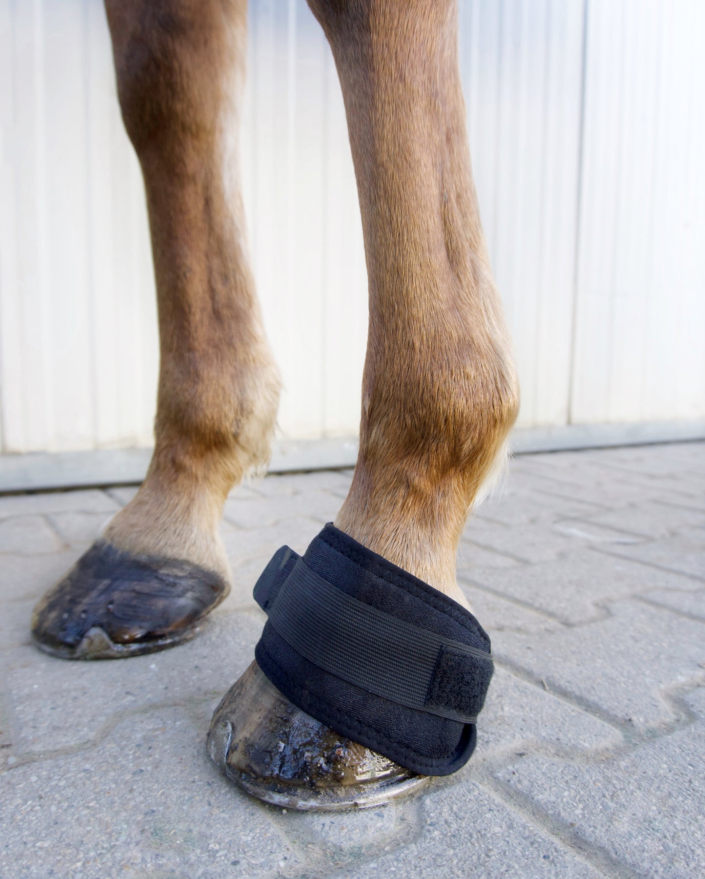 Huf-Bandage für Pferde – bei Schmerzen & durchblutungsfördernd